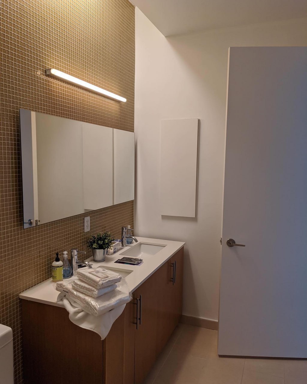 Bathroom vanity with mosaic tile wall