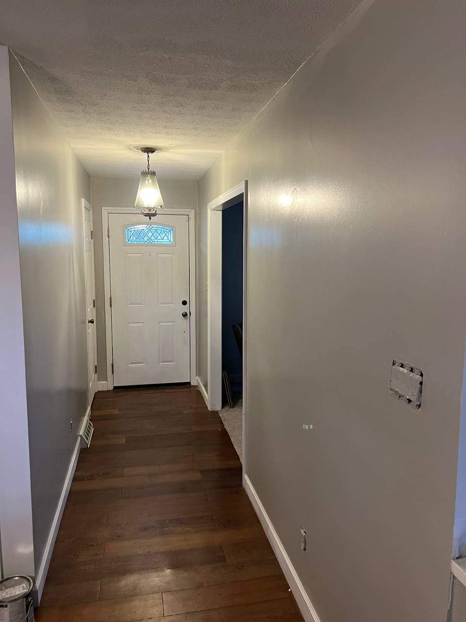 Entry hallway with dark wood-tone flooring